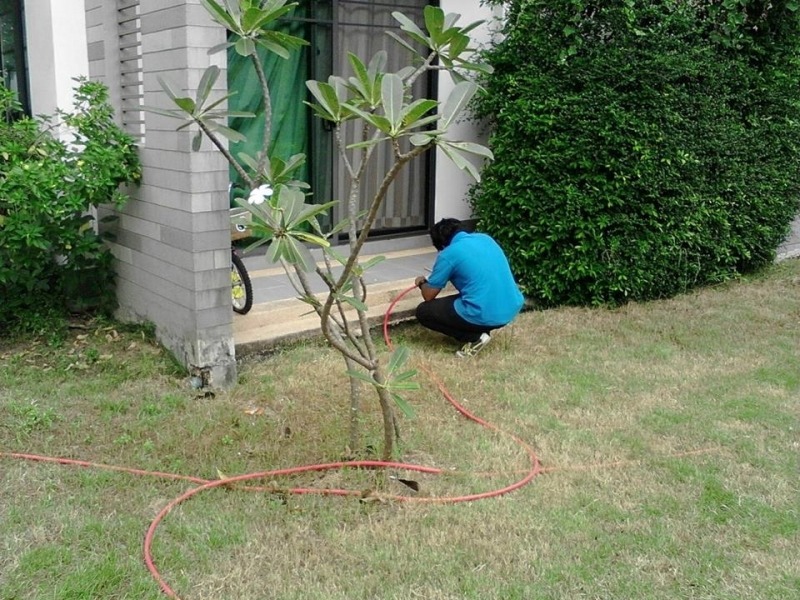 จัดการปลวกขึ้นบ้าน โคราช